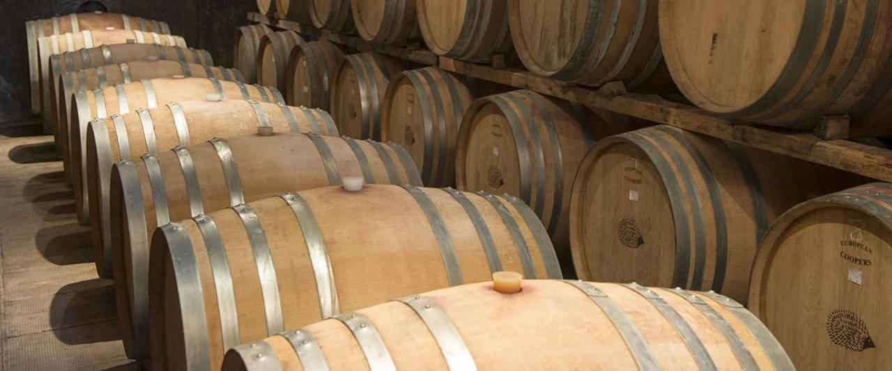 Fattoria Di Rignana Winery Bnb Greve in Chianti Exterior photo